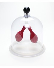 Lung Apparatus 