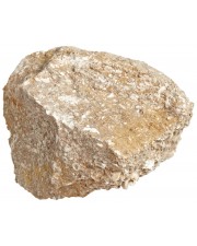 Limestone, Fossiliferous, Buff 